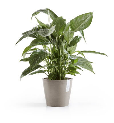 Ecopots Amsterdam gråbrun 20 cm Ecopots Amsterdam gråbrun 20 cm